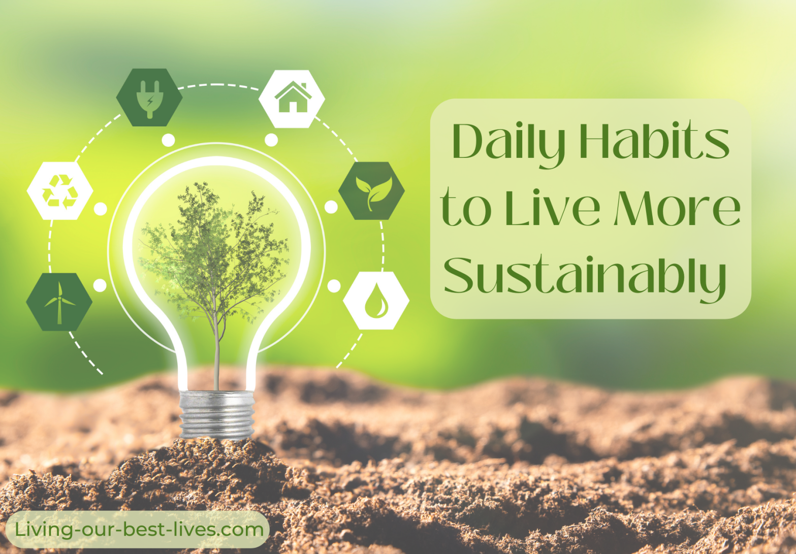 Daily habits to live more sustainably